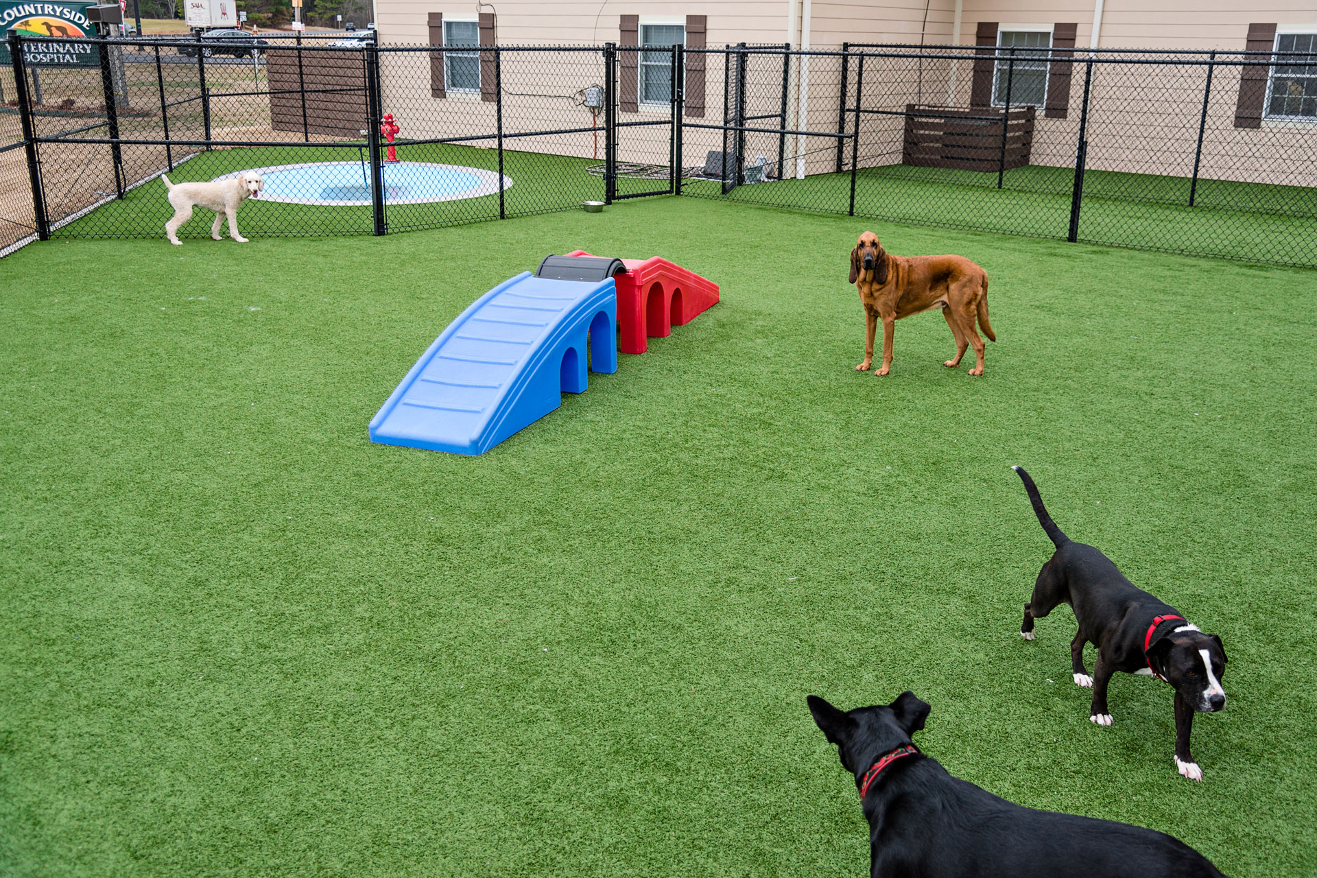 Countryside VetDogs play area