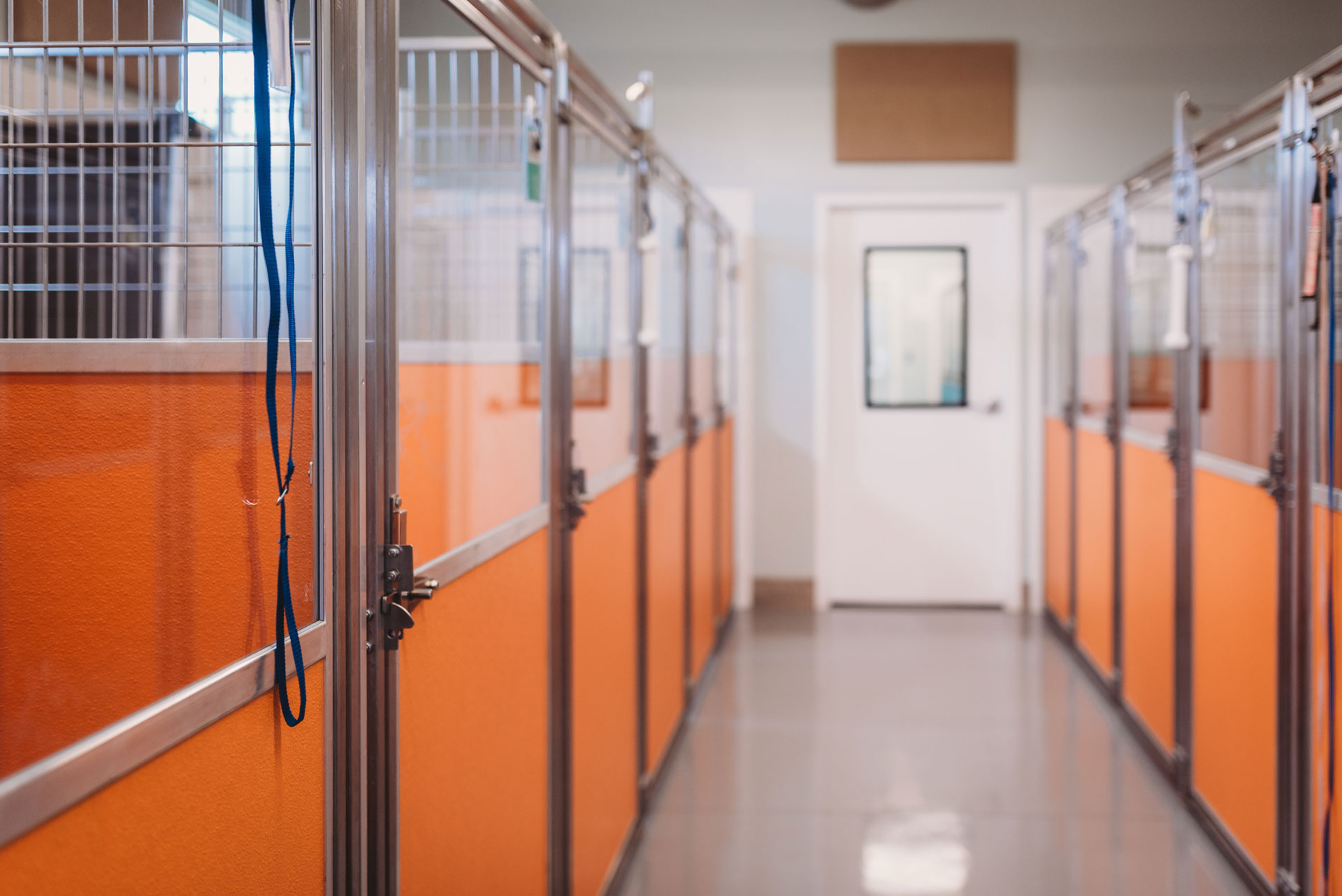 Room with Animal cages