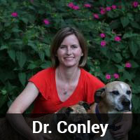 Dr. Conley