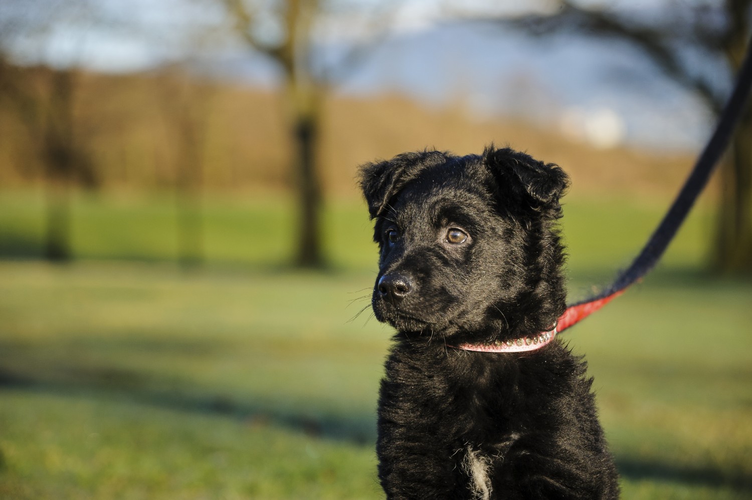 Countryside_iStock_000068239585_Large
