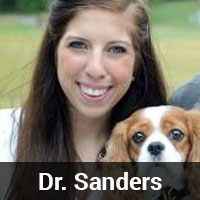 Dr. Sanders