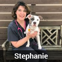 Stephanie