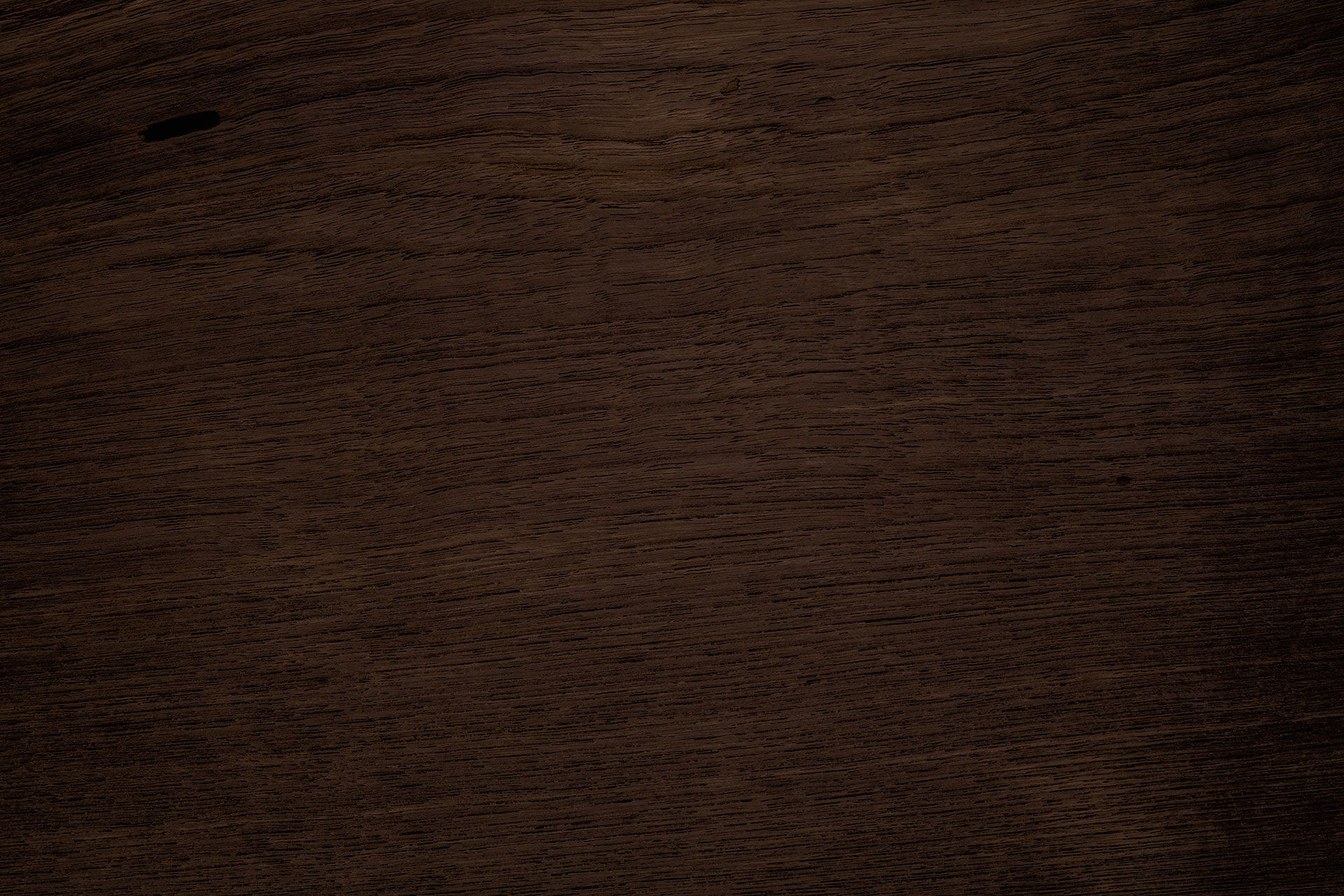 Macro Ormosia wood texture