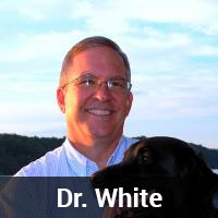 Dr. White