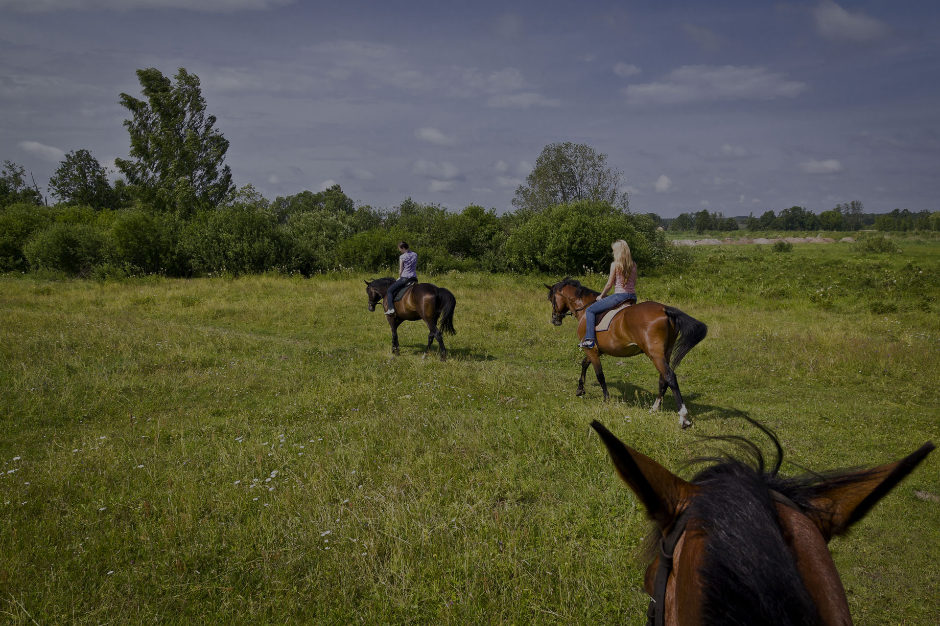 Girls riding horses in the field