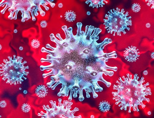 FAQs About COVID-19 and How It Can Affect Your Pet